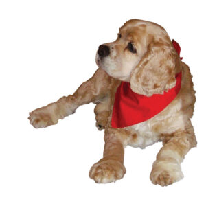 Canadian Made Premium Triangular Pet Bandanas, BAN03