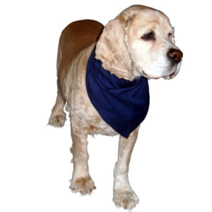 Canadian Made Premium Triangular Large Pet Bandanas, BAN04